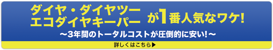 ダイアモンドキーパーが1番人気なワケ